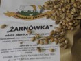 Żarnówka - již zase v prodeji!