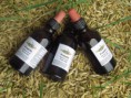 Propolis - vyprodáno!